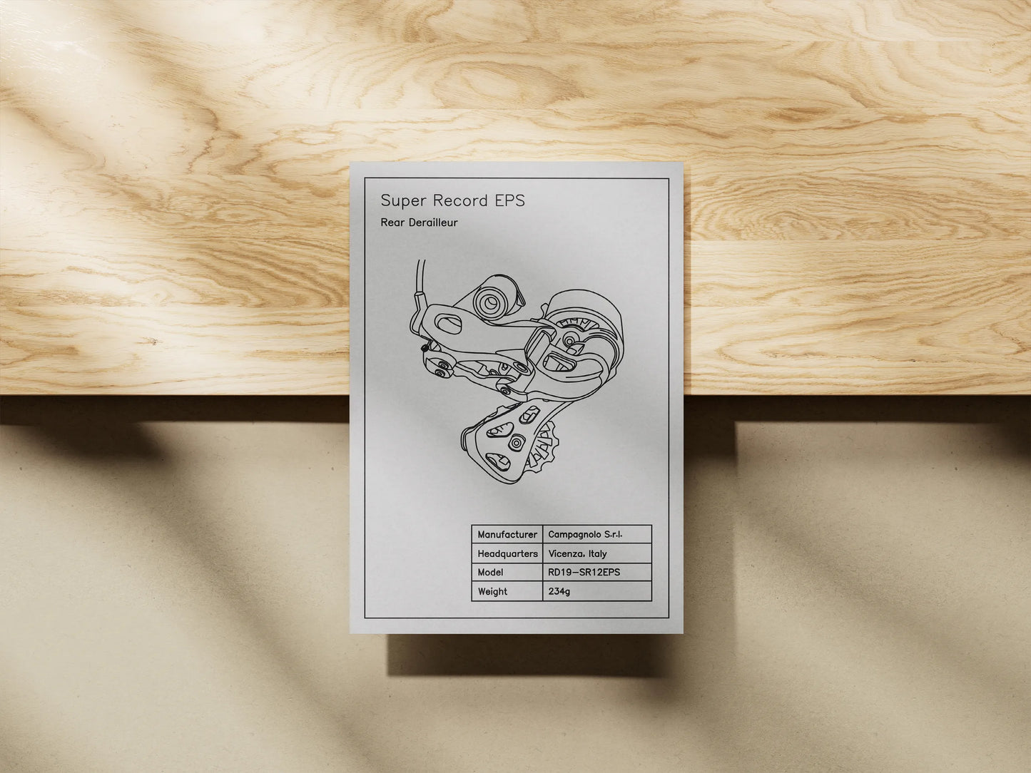 Campagnolo Road Schaltwerk Blueprint (A4)